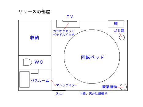 �T���[�X�̕���